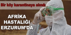 Erzurum'da Afrika hastalığı!