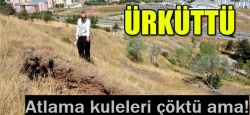 Erzurum'da Korkutan obruk