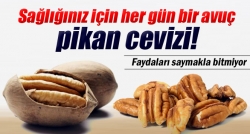 Her gün bir avuç pikan cevizi