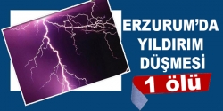 Erzurum'da yıldırım düşmesi