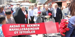 Akdağ ve Sekmen oy istediler