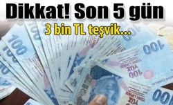 3 bin TL teşvik için son 5 gün