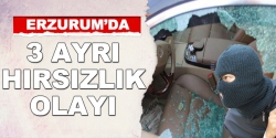 Erzurum'da üç ayrı hırsızlık olayı