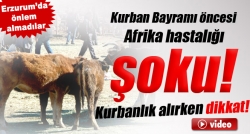 Bayram öncesi Afrika hastalığı şoku!