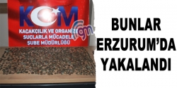 Erzurum'da Sikke oparasyonu