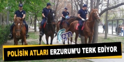 Atlı polis birliği Erzurum'a veda ediyor!