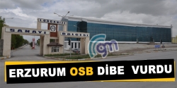 Erzurum OSB dibe vurdu