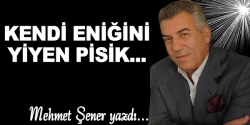 Kendi eniğini yiyen pisik