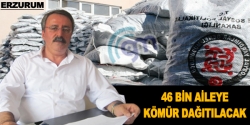 Erzurum'da 46 bin aileye kömür!