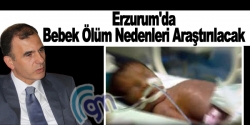 Erzurum'da Bebek Ölüm Nedenleri Araştırılacak