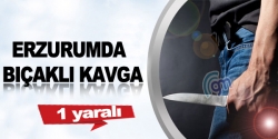 Erzurum'da bıçaklı kavga: 1 yaralı