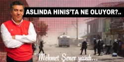 Aslında Hınıs'ta ne oluyor?