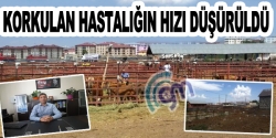 Korkulan hastalığın hızı düşürüldü