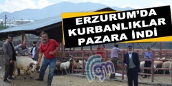 Erzurum'da kurbanlıklar pazara indi