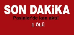 Pasinler'de kan aktı!