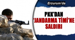 PKK jandarma timine saldırdı