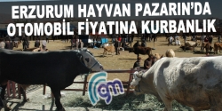 Otomobil fiyatına kurbanlık