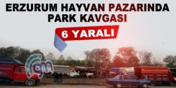 Erzurum hayvan pazarında kavga