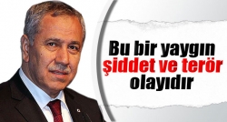 'Bu bir yaygın şiddet ve terör olayıdır'