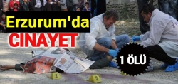 Erzurum'da arazi kavgası: 1 ölü