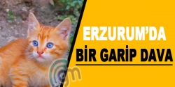 Erzurum'da bir garip dava