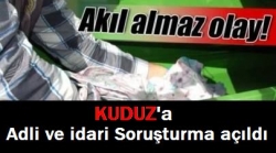 Kuduz'a çifte soruşturma!