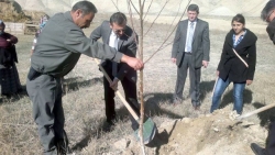 Oltu-Ardahan yolu yeşillenecek