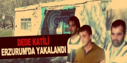 Dede katili Erzurum'da yakalandı