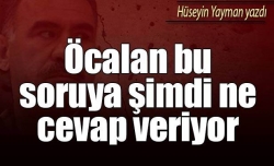 ‘ABD size ne verecek salaklar...’