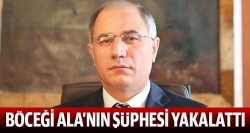 Ala’nın dikkati böceği yakalattı!