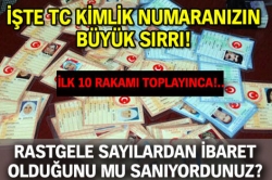 TC Kimlik Numarası'nın sırrı!