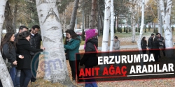 Erzurum’da ‘anıt ağaç aradılar