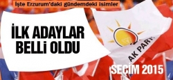 İşte AK Parti'nin ilk milletvekili adayları!