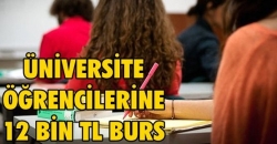 Üniversite öğrencilerine 12 bin TL burs!