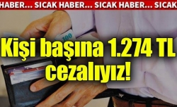 Kişi başına 1.274 TL cezalıyız