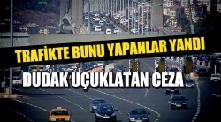 Köprüden kaçak geçenler yandı