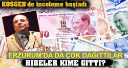 KOSGEB kredilerine ‘paralel’ inceleme!