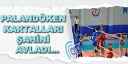 Palandöken kartalları Şahini avladı