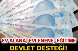 Ev Alana, Devlet Destek Verecek