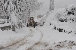Erzurum'da köy yolları ulaşıma kapandı