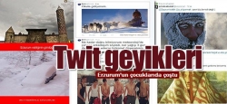 Erzurum'da Twit geyikleri