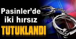 Pasinler'de iki hırsız tutuklandı