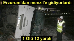 Trafik Kazası 1 Ölü 12 Yaralı