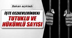 Tutuklu ve hükümlü sayısını açıkladı