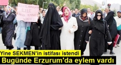 Yine Sekmen'in istifasını istdiler