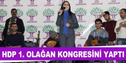 HDP Erzurum 1. Olağan Kongresini yaptı