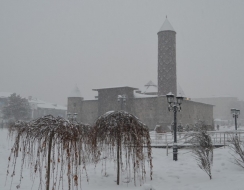 Erzurum'da kar yağışı