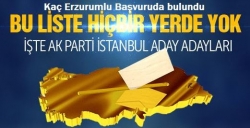 AK Parti İstanbul aday adayları