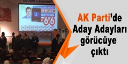 Ak Parti'de aday adayları tanıtımı