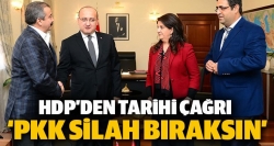 HDP'den PKK'ya silah bırakma çağrısı!